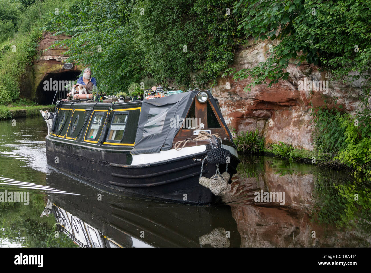Staffordshire Worcestershire et Canal à Storton Junction nr Kinver, Staffordshire, England, UK Banque D'Images