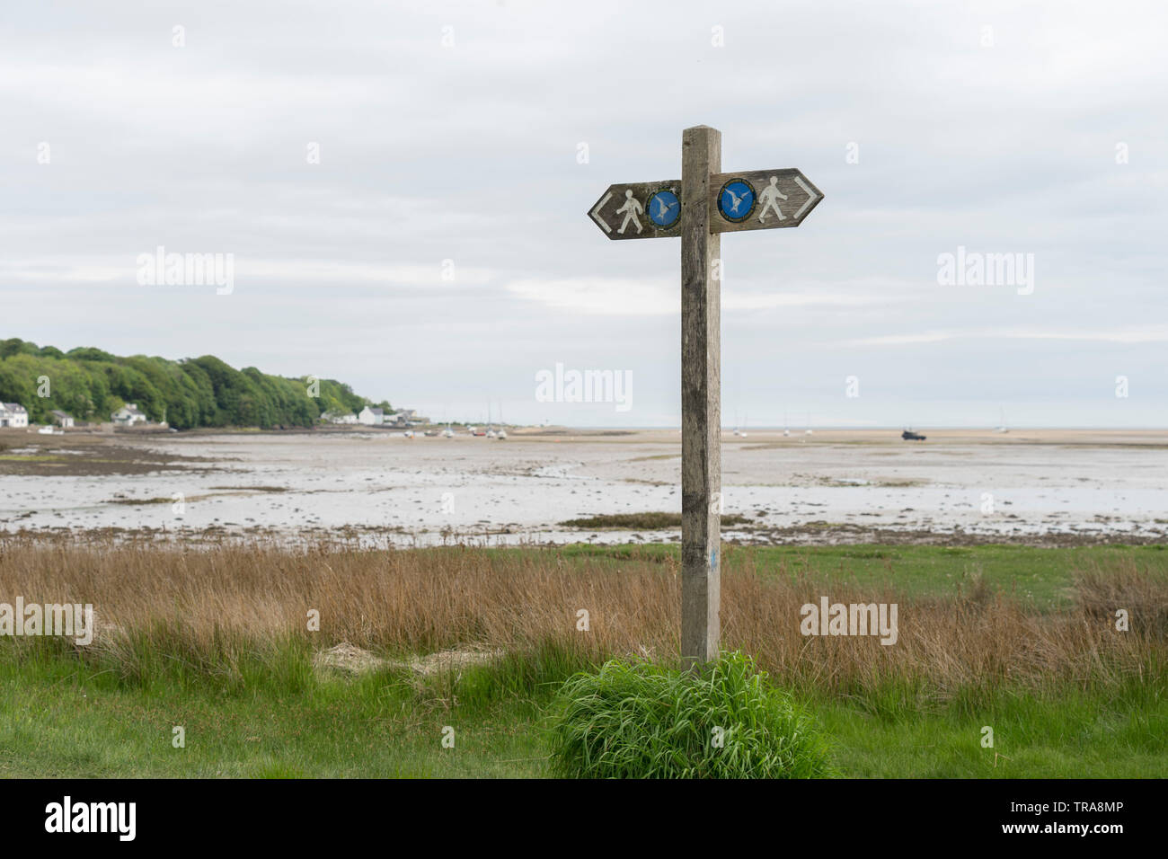 Chemin de la Côte d'Anglesey au Red Wharf Bay, Pays de Galles, Royaume-Uni Banque D'Images