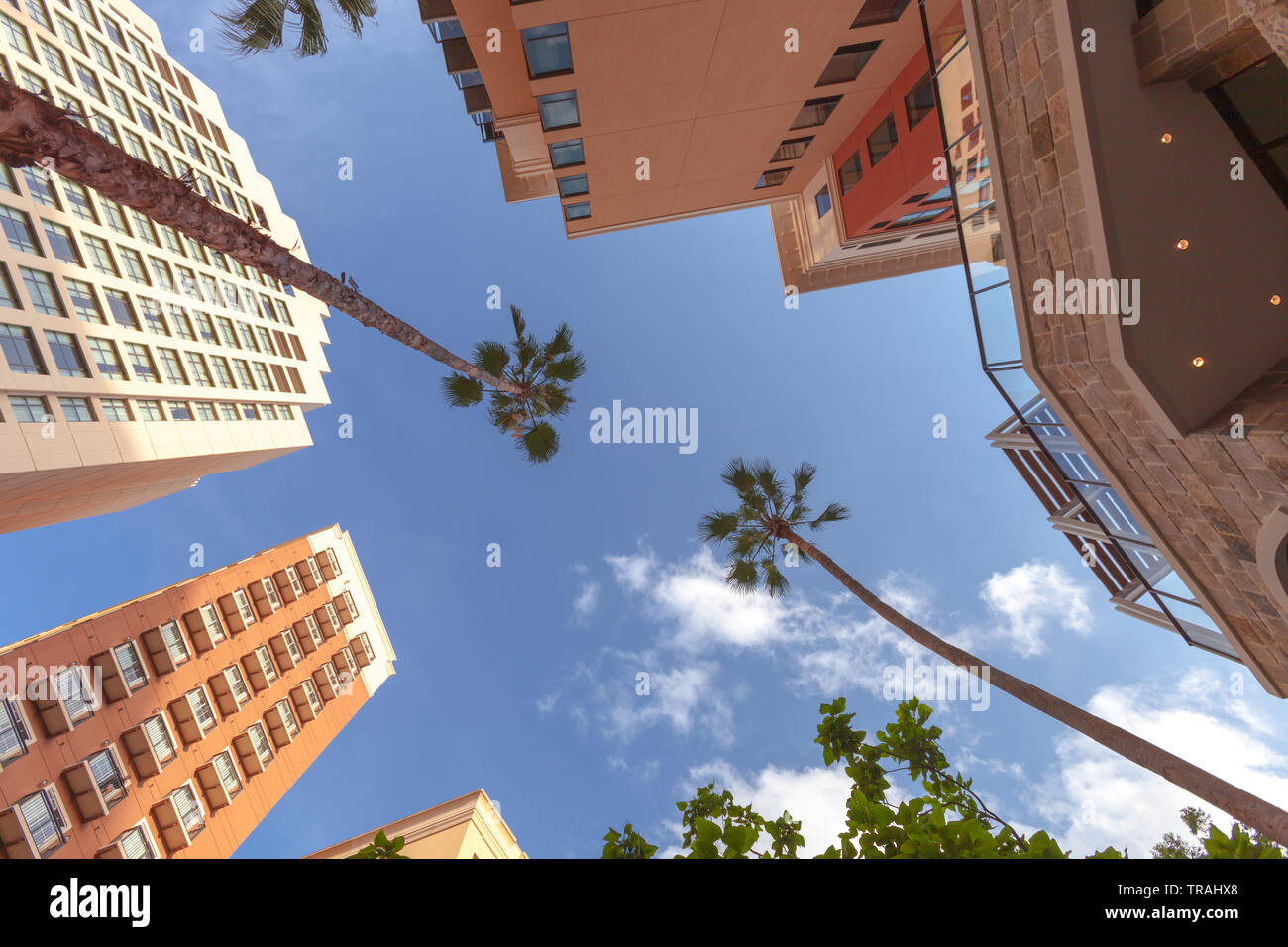 Low angle view of a de grands bâtiments et de palmiers avec ciel bleu en arrière-plan. Fond d'emplacement de vacances Banque D'Images