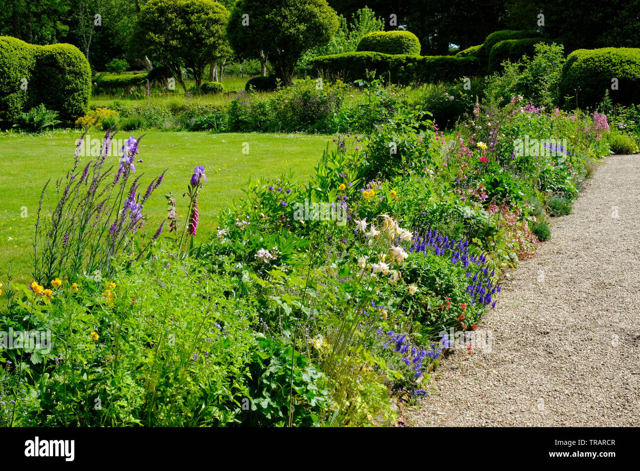 Un jardin anglais border - John Gollop Banque D'Images