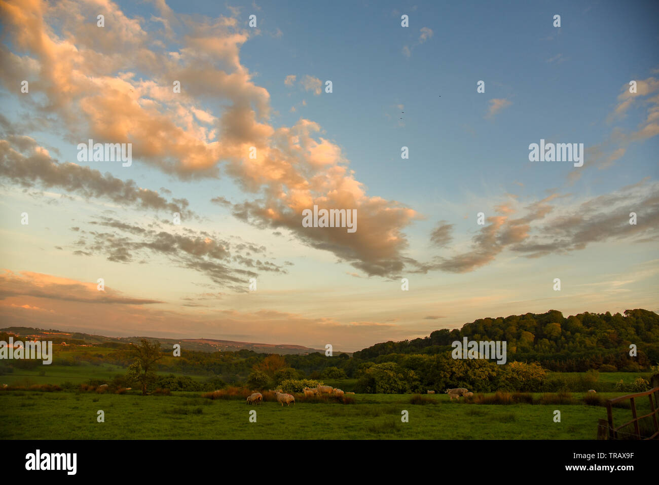 Les nuages au-dessus de la vallée rose Banque D'Images