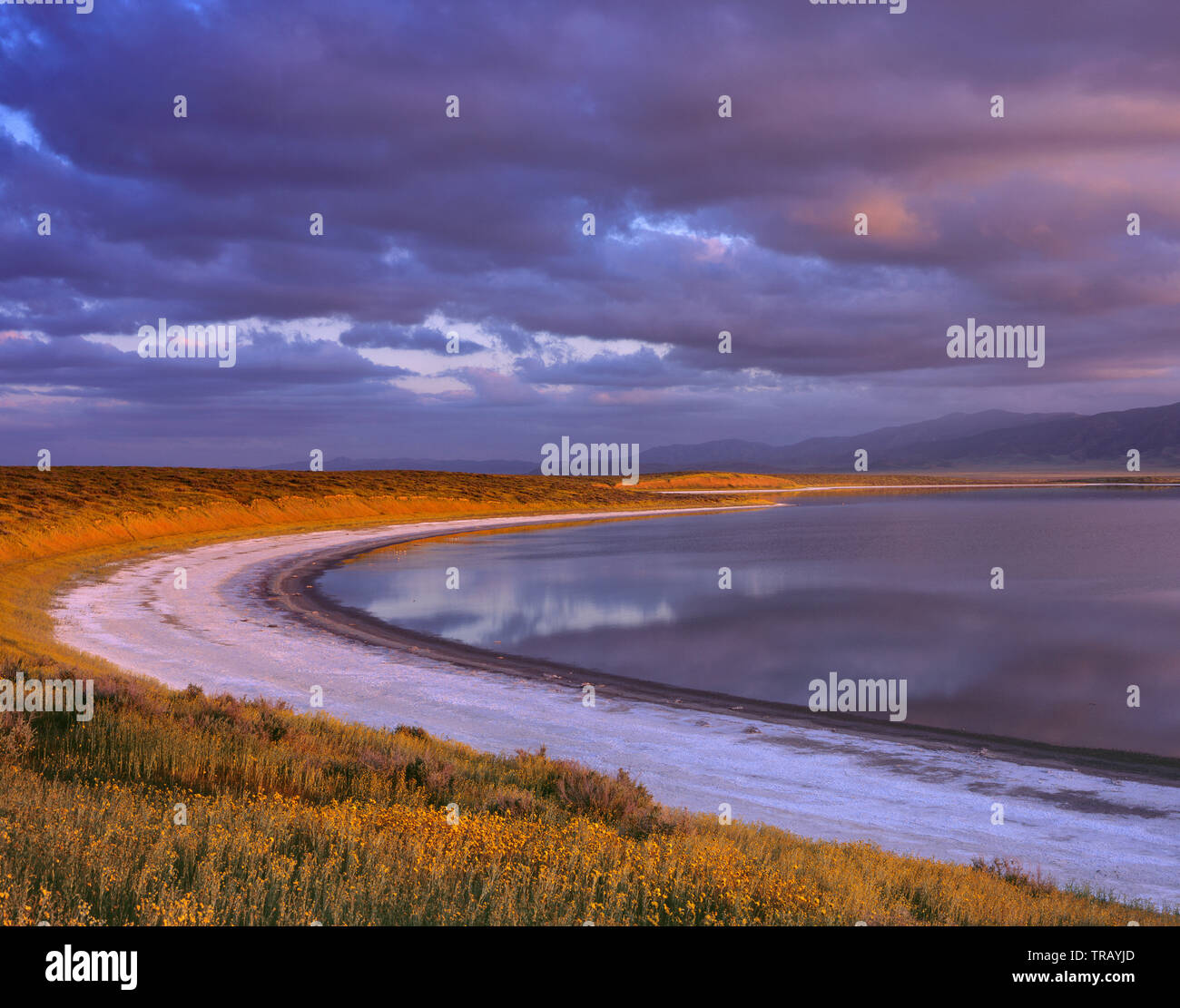 Le coucher du soleil, le lac de soude, Carrizo Plain National Monument, San Luis Obispo County, Californie Banque D'Images