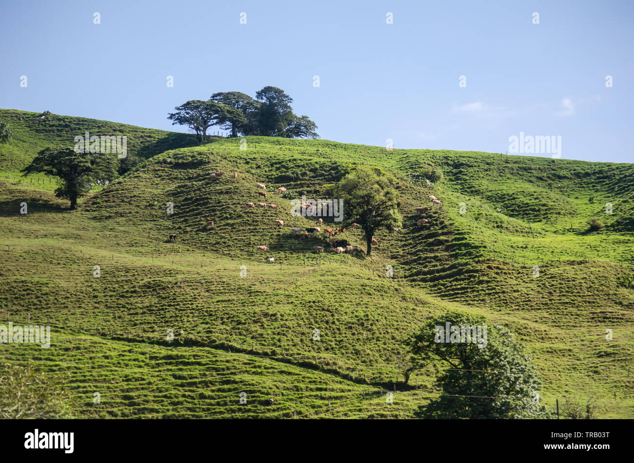 Les belles collines de la vallée centrale du Costa Rica Banque D'Images
