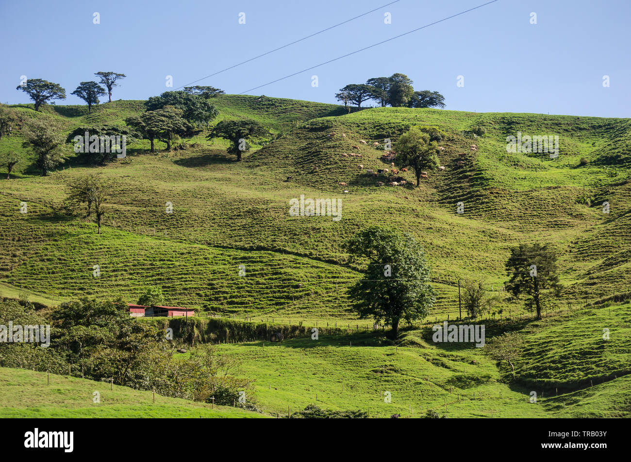 Les belles collines de la vallée centrale du Costa Rica Banque D'Images
