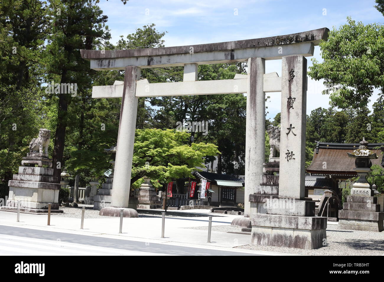 Shirine Taga dans la préfecture de Shiga, Japon Banque D'Images