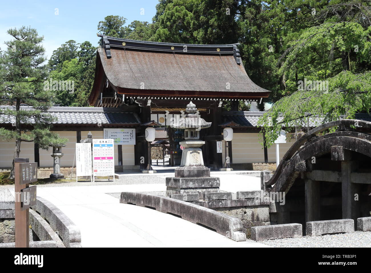 Shirine Taga dans la préfecture de Shiga, Japon Banque D'Images