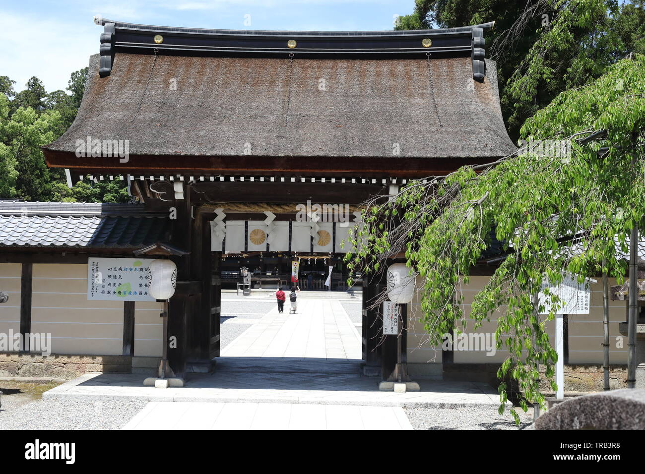 Shirine Taga dans la préfecture de Shiga, Japon Banque D'Images