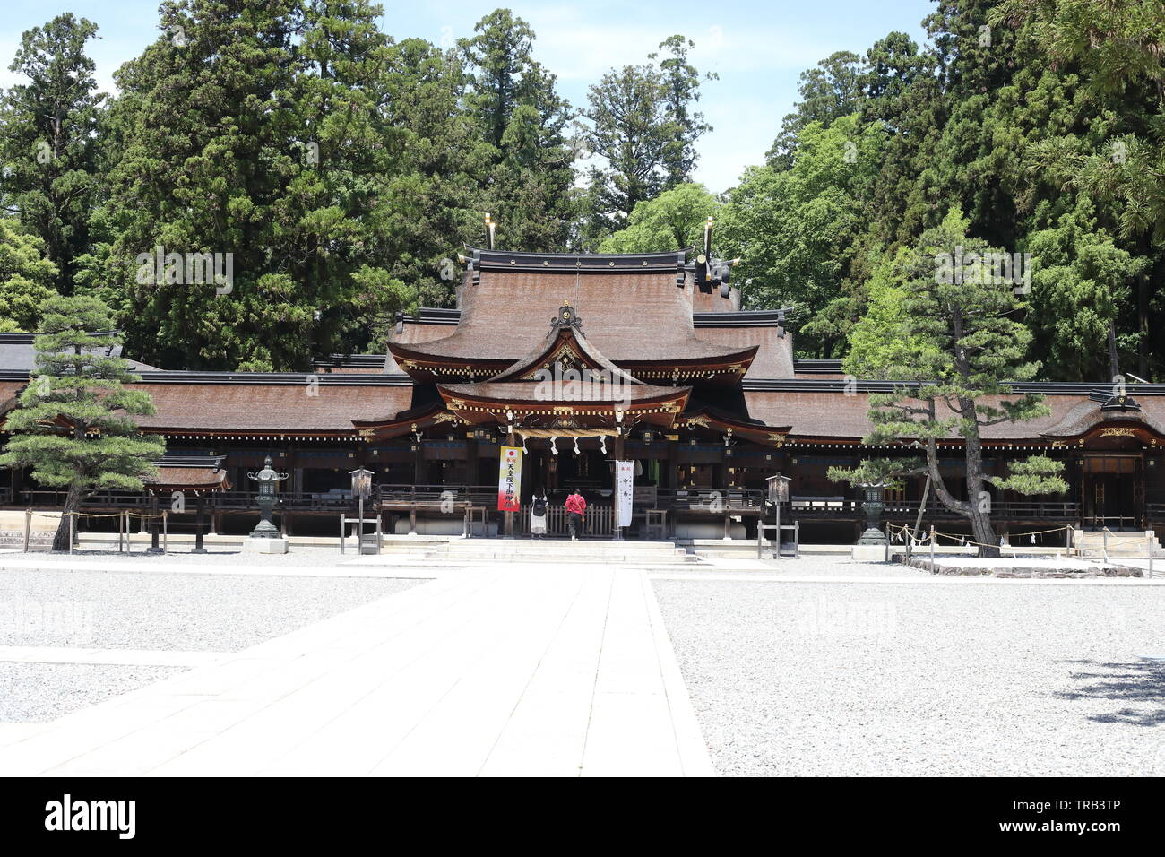 Shirine Taga dans la préfecture de Shiga, Japon Banque D'Images