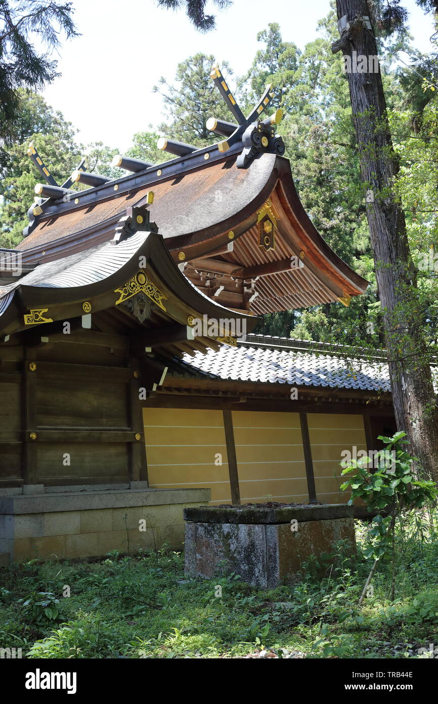 Shirine Taga dans la préfecture de Shiga, Japon Banque D'Images