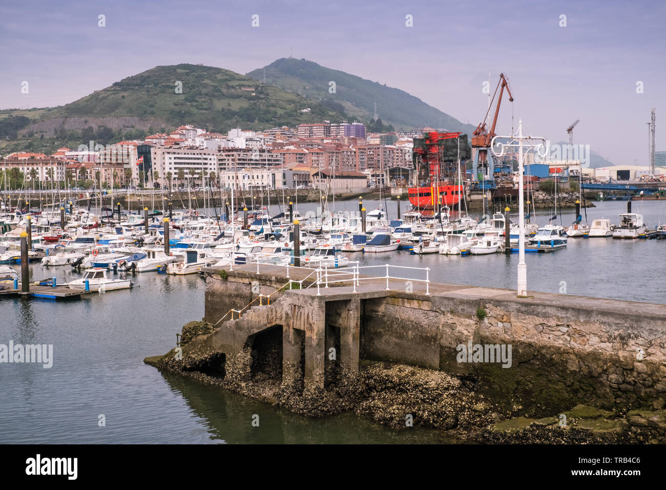 Bateaux amarrés dans le port de Bilbao, Bilbao, Biscaye, Pays Basque, Espagne Banque D'Images