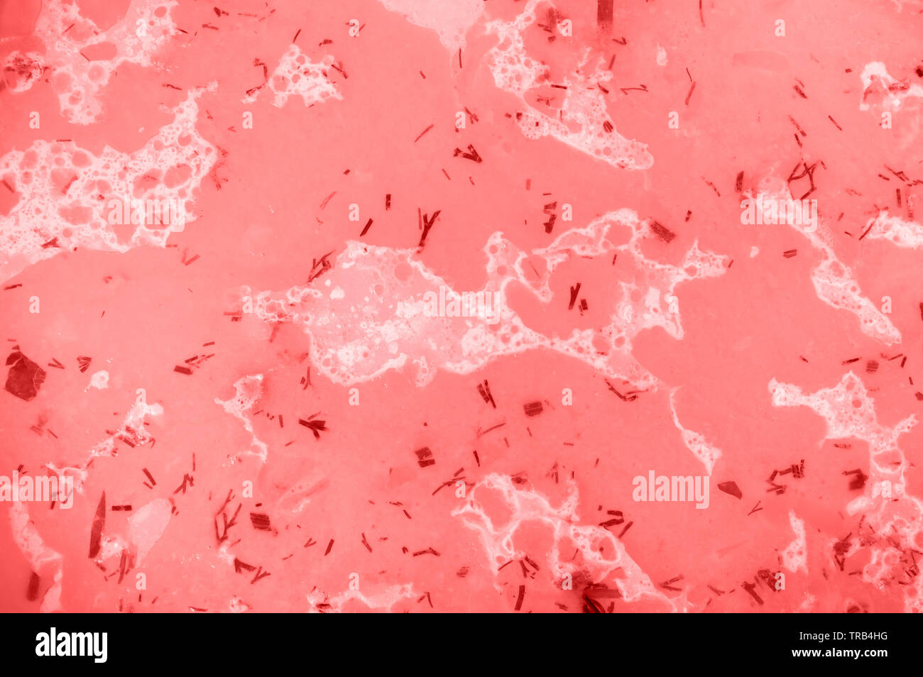 Résumé Contexte - substance blanche dans la mer de corail Banque D'Images