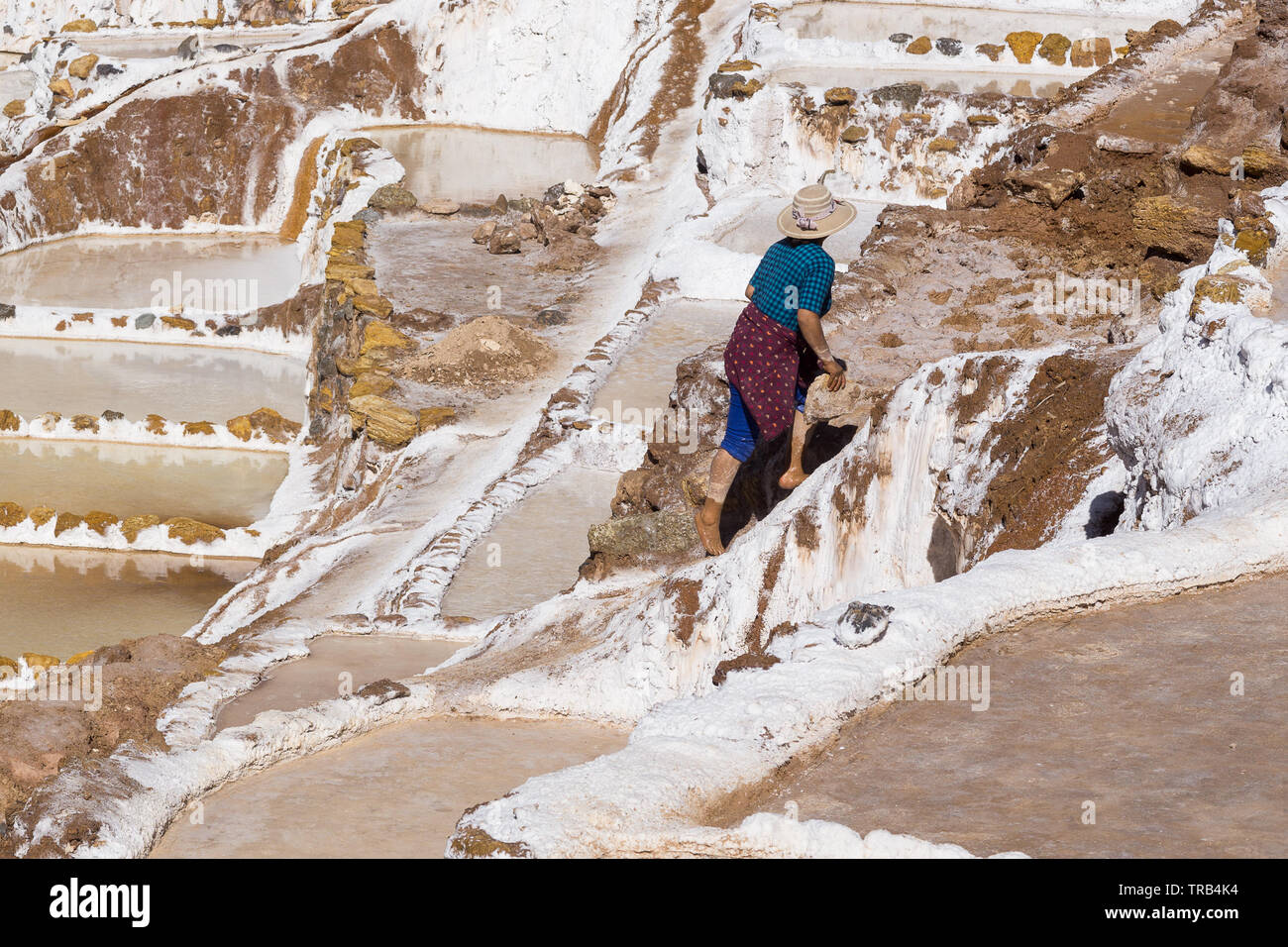 Une femme travaillant dans les étangs salés au Salineras de Maras, Pérou. Banque D'Images