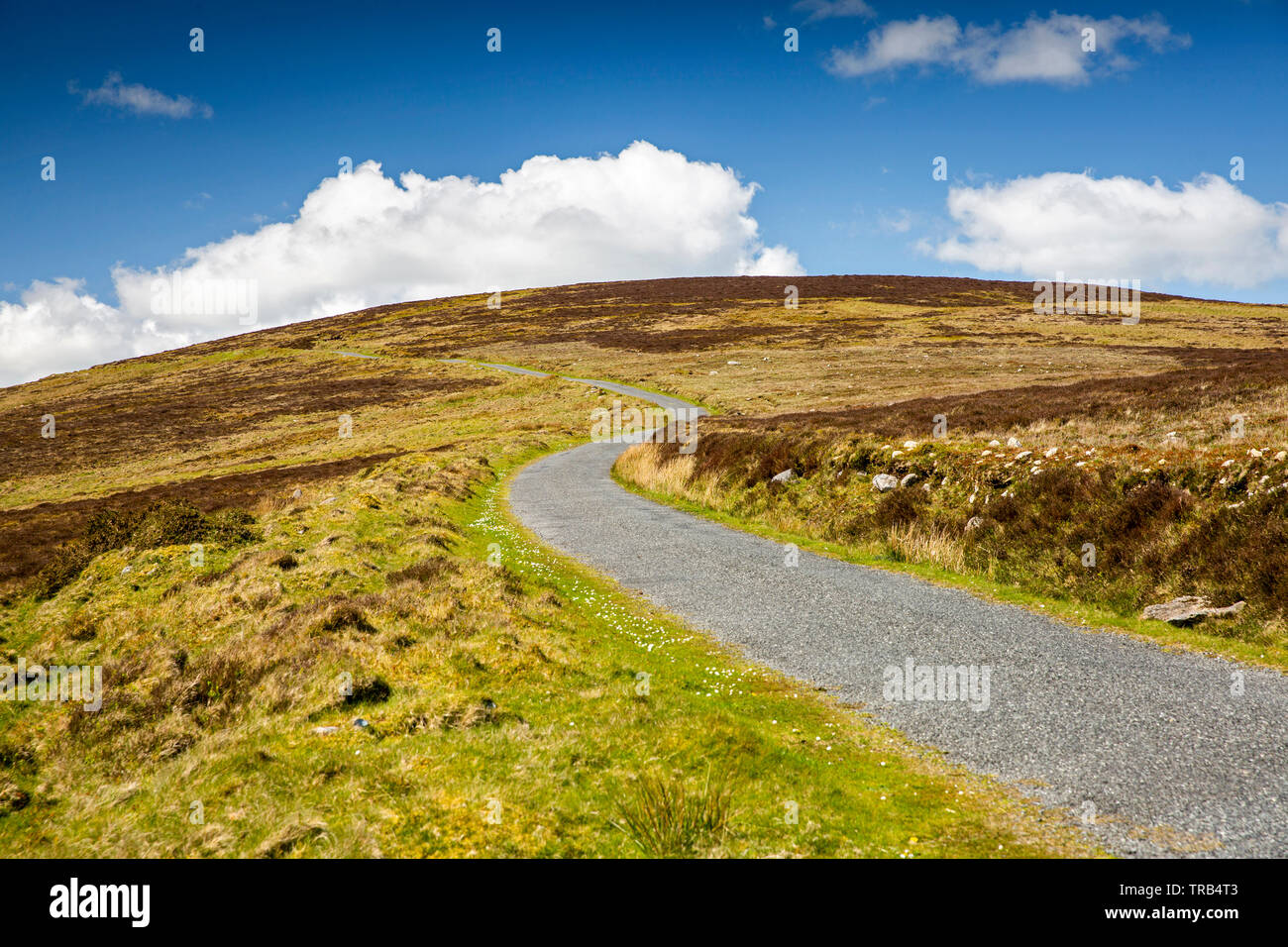 L'Irlande, Co Louth, Péninsule de Cooley, sinueuse route à voie unique jusqu'à la Montagne Noire sur la route de Tain Banque D'Images