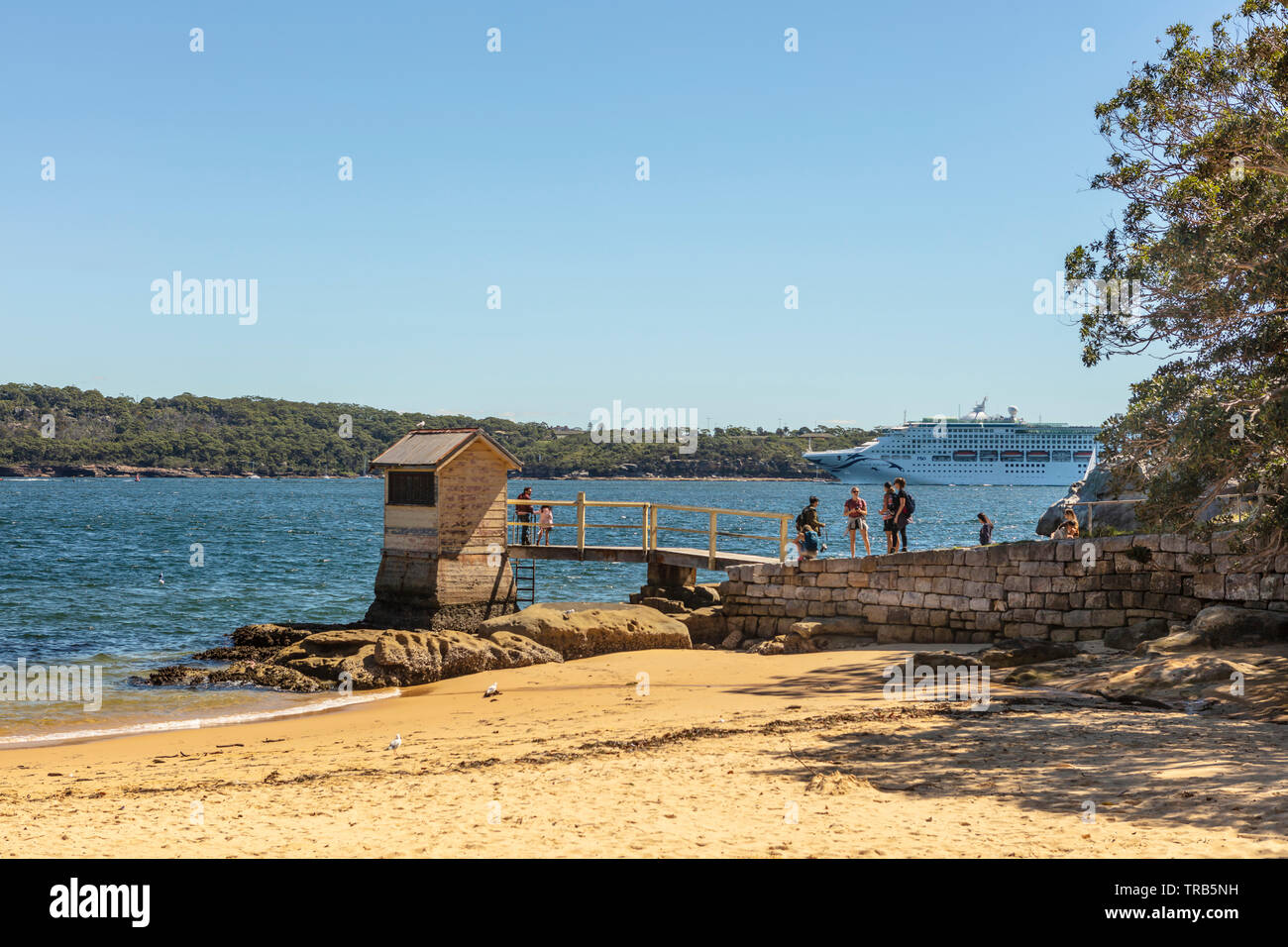Camp de Pristine Cove beach à Watson's Bay, près de Sydney, Australie. Banque D'Images