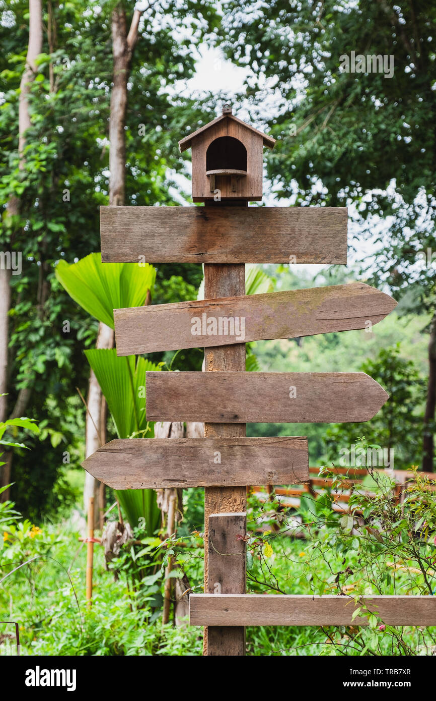 Flèches en bois blanc avec panneau nid dans jardin Banque D'Images