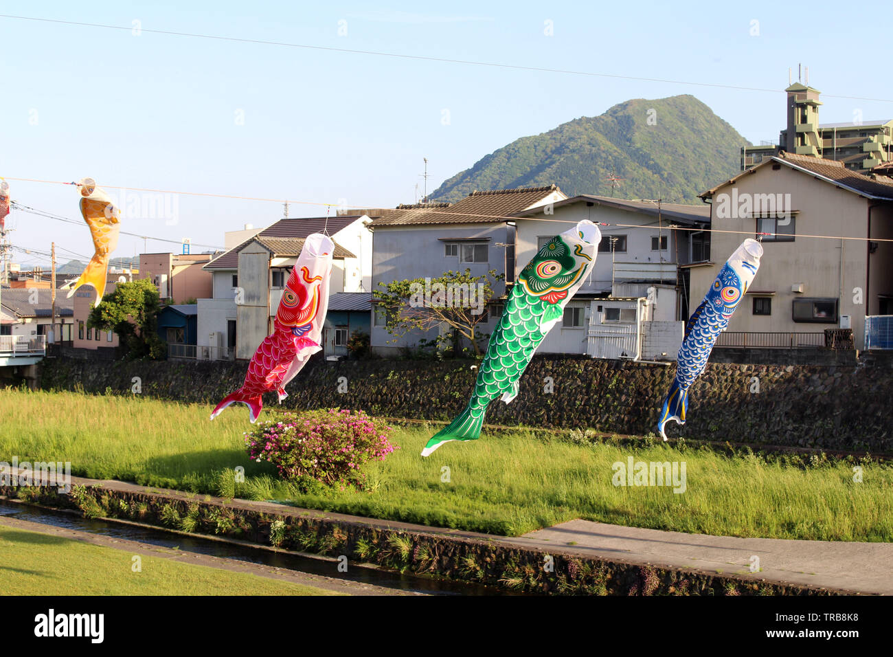 Koinobori japonais battant poissons carpes koï à Beppu pendant la Golden Week. Prises à Oita, avril 2019. Banque D'Images