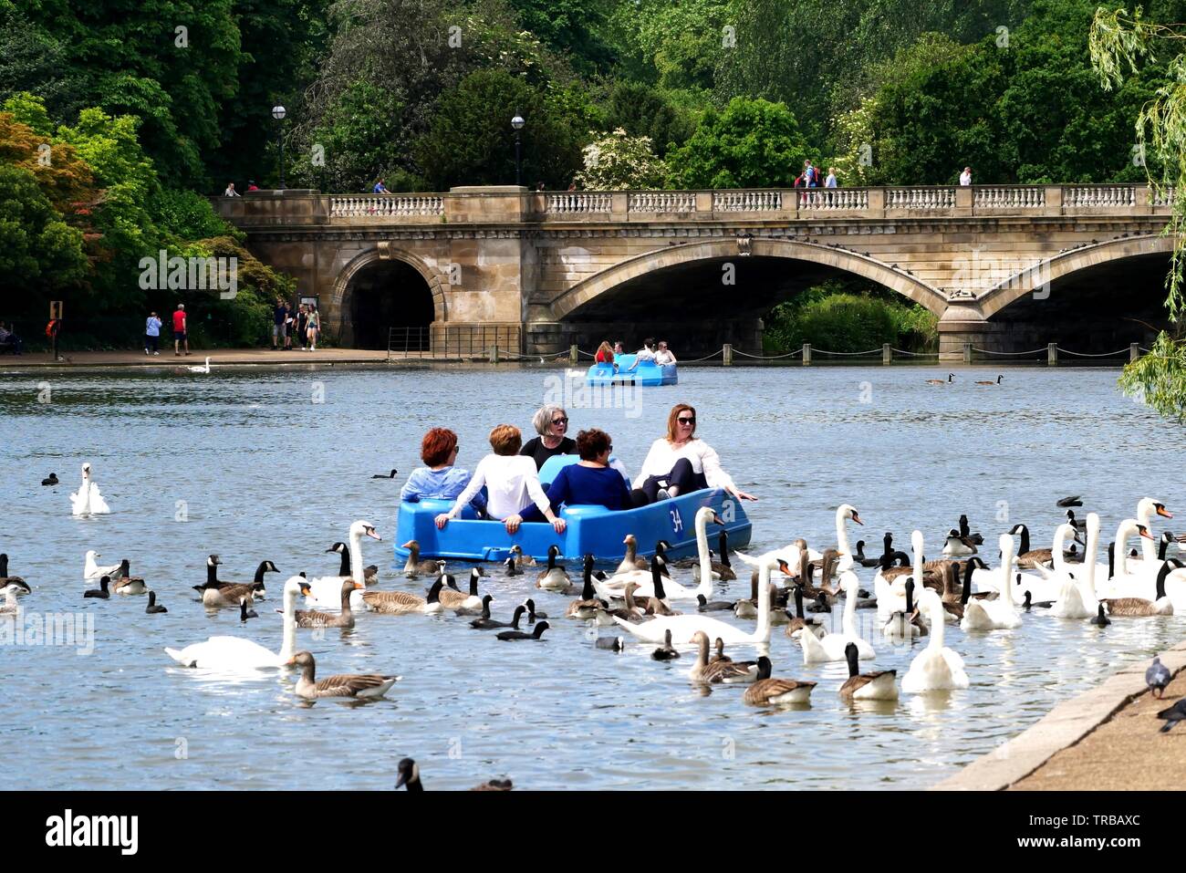 Londres, Royaume-Uni. 09Th Juin, 2019. Prendre à l'agence parcs londoniens comme temps doux continue Crédit : Brian Minkoff/Alamy Live News Banque D'Images