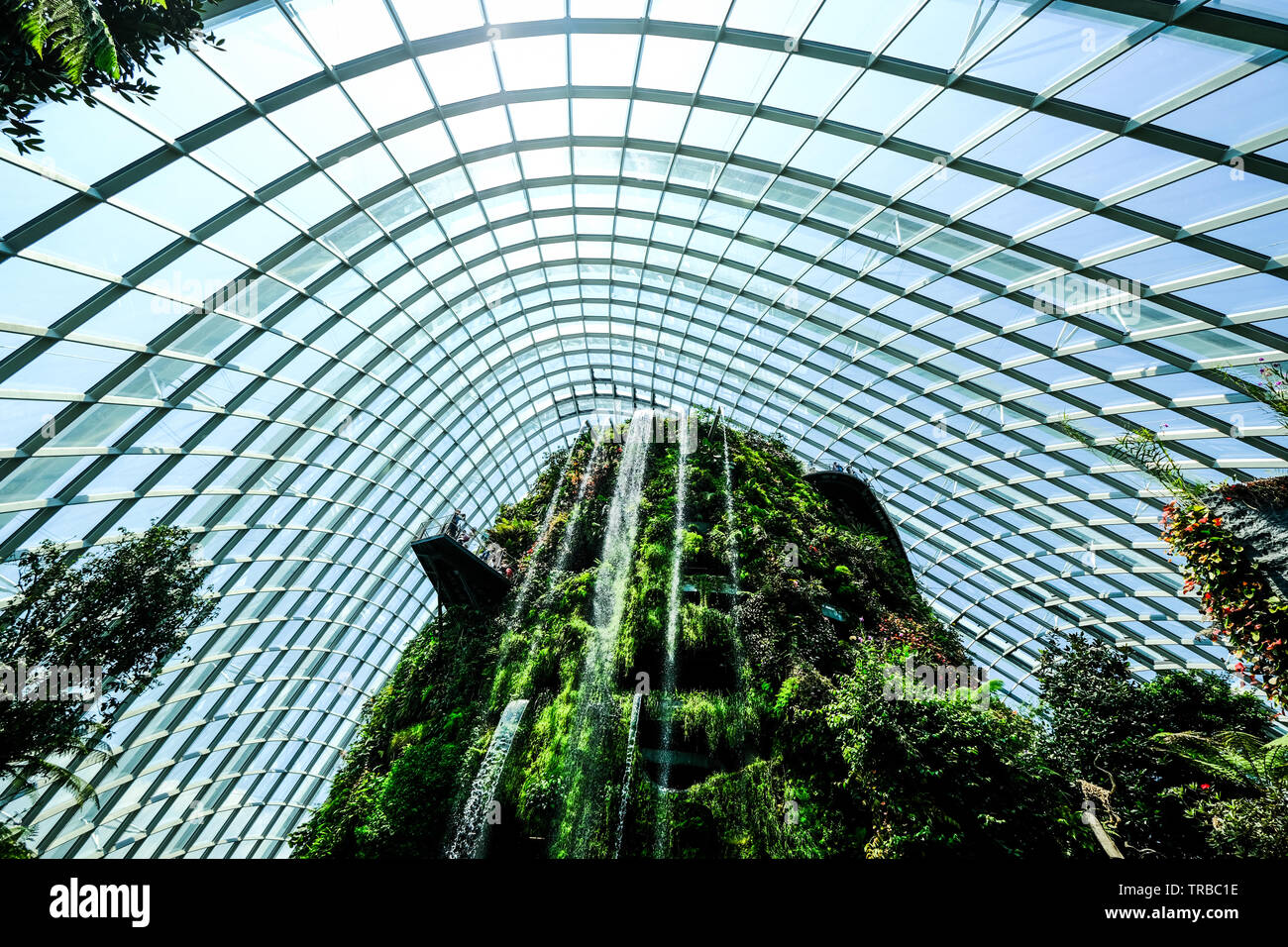 La plus haute cascade artificielle dans le monde à la forêt de nuages, les jardins de la baie, à Singapour Banque D'Images