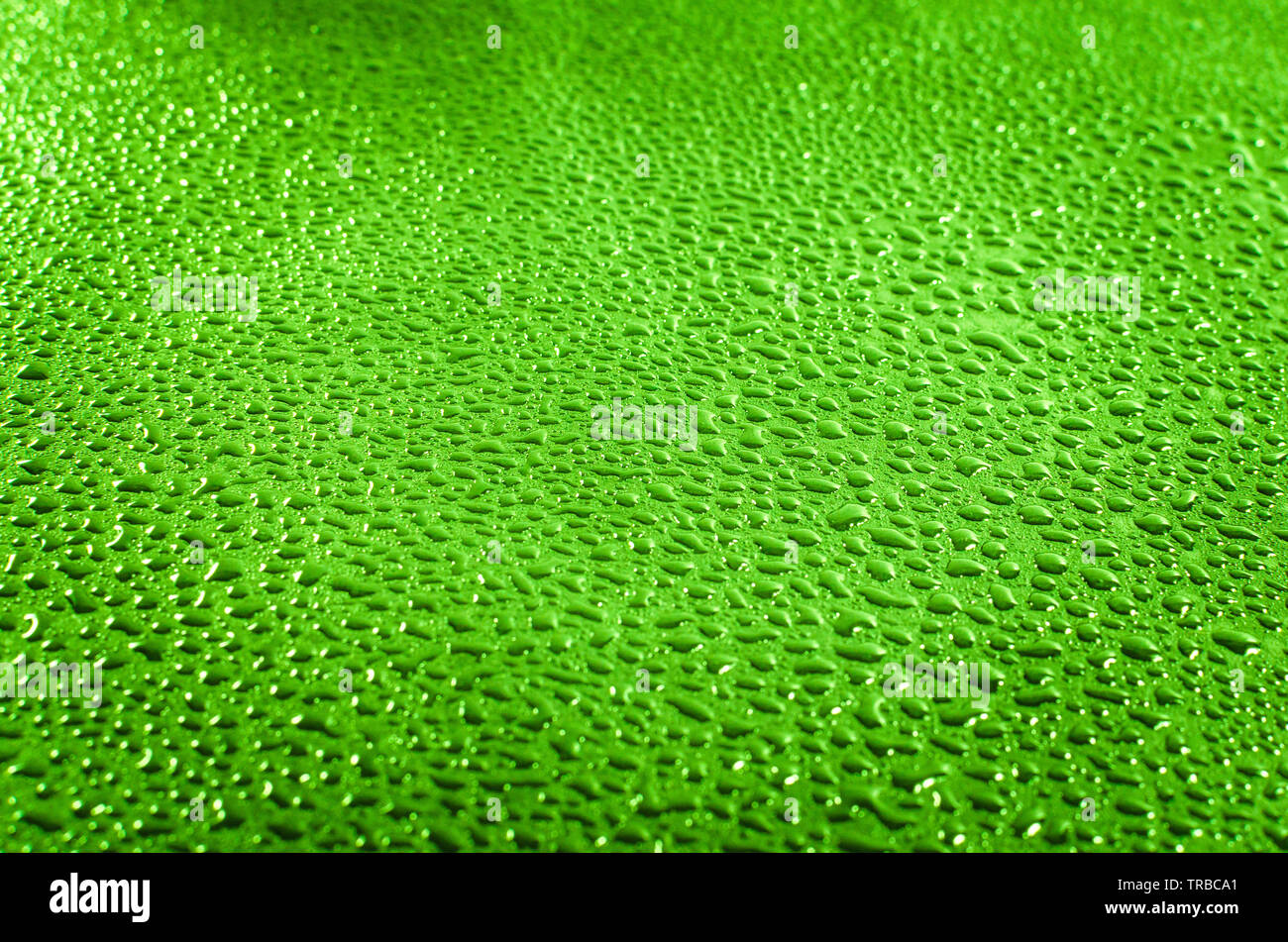 La transpiration, les gouttelettes d'eau sur la surface après la pluie. Gouttes dans l'été.Rétroéclairage fraîcheur dans l'eau. Banque D'Images