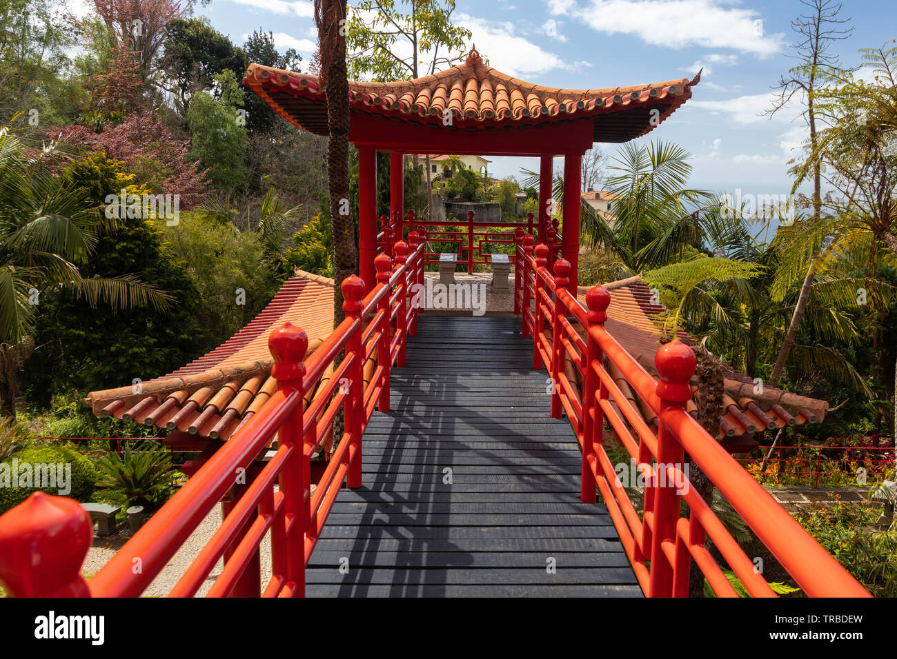 Jardin japonais, Jardin botanique, Funchal, Madère Banque D'Images