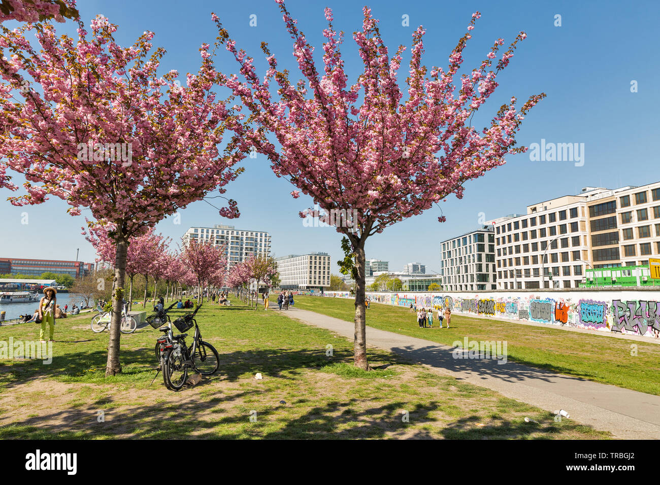 BERLIN, ALLEMAGNE - 18 avril 2019 : visite du jardin fleuri spécial printemps près de Wall barrière et East Side Gallery, mémorial international pour la liberté d'un Banque D'Images
