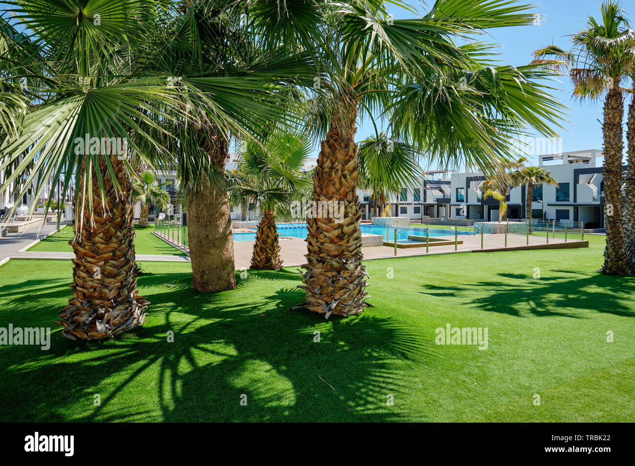Jardins de palmiers à l'intérieur de l'urbanisation fermée avec pelouse verte piscine maisons modernes de jour d'été. Nouvelle propriété en Espagne, pas de personnes. Espagne Banque D'Images