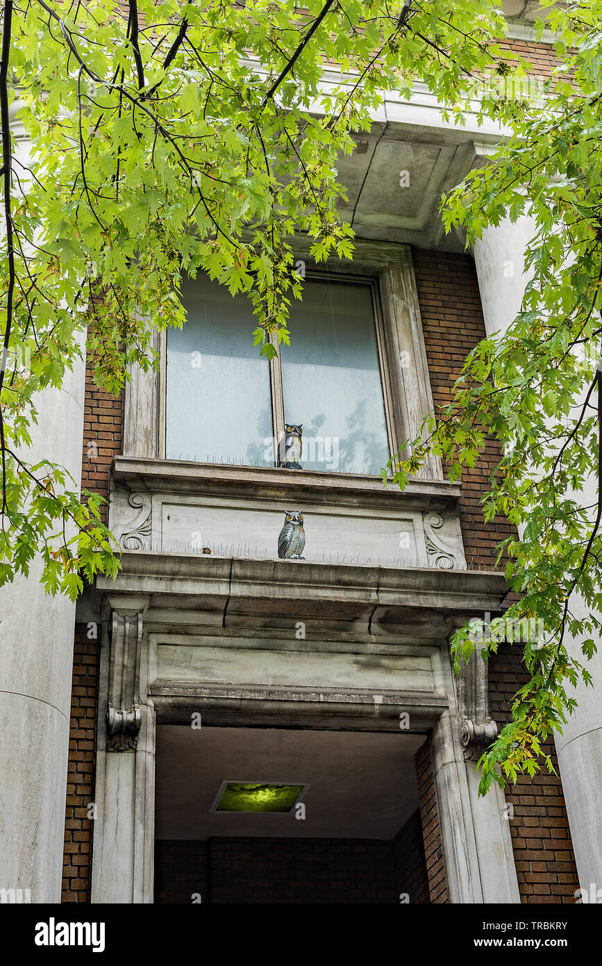 Il s'éboule par-dessus la porte Banque D'Images