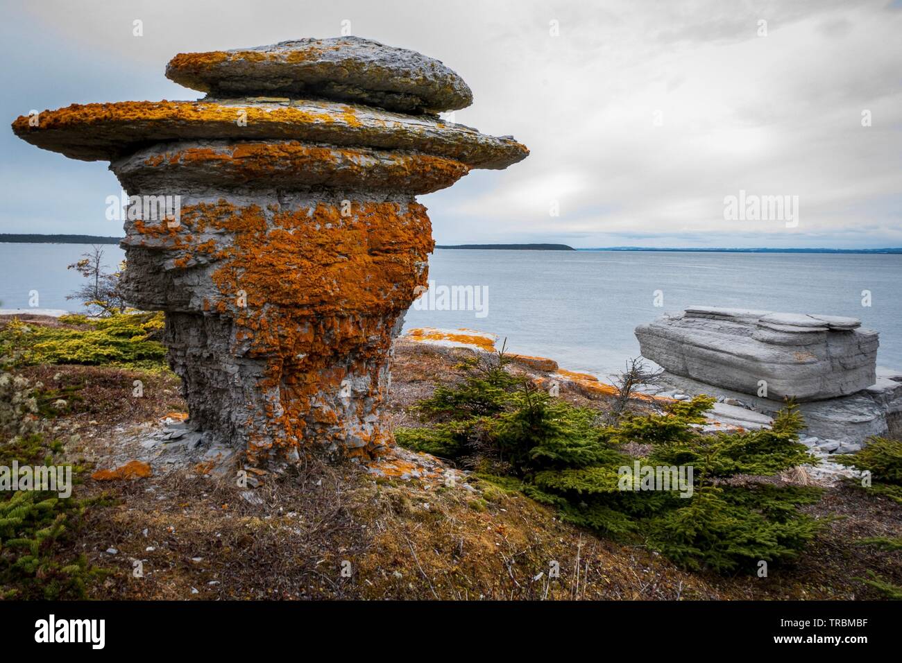 Couverts de lichens colorés monolithe dans la Réserve de parc national de l'archipel de Mingan, au Québec, Canada. Banque D'Images