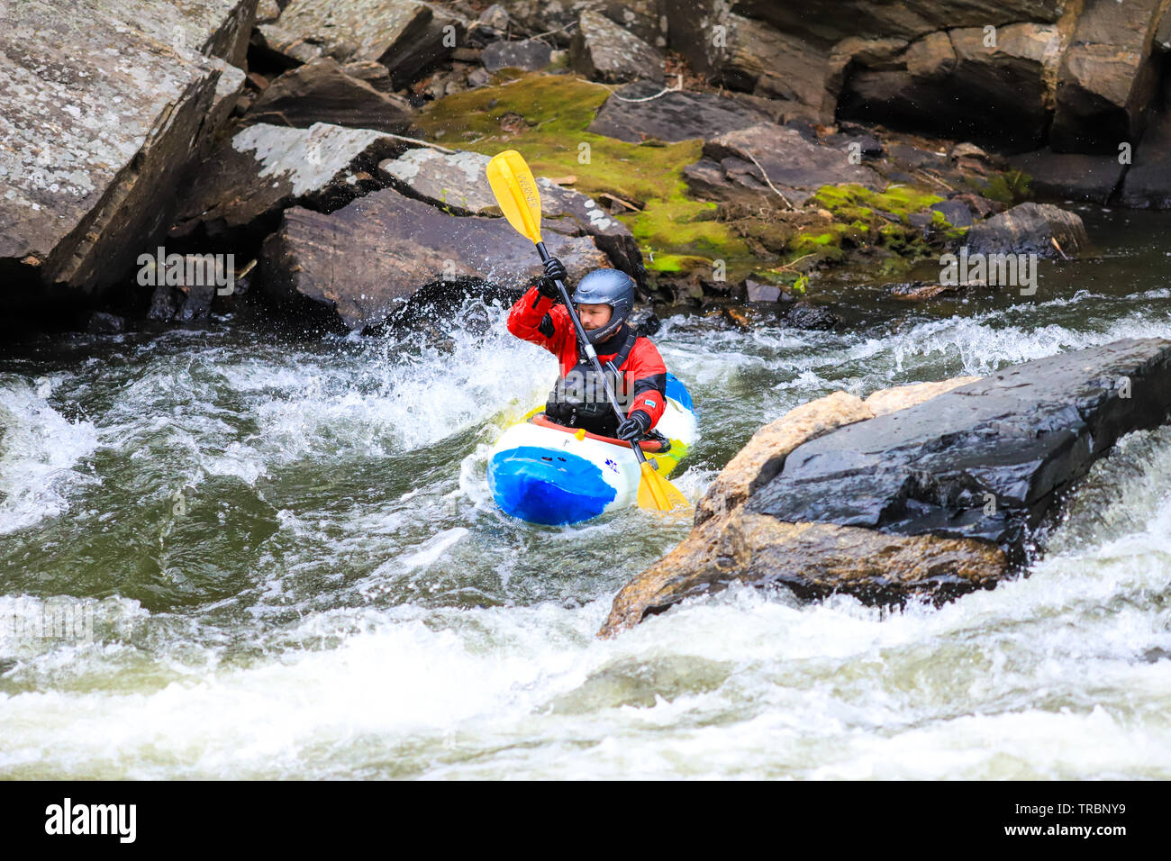 Kayakiste homme célibataire dans rapids blancs de l'eau dans la région de Clear Creek, dans le Colorado Banque D'Images