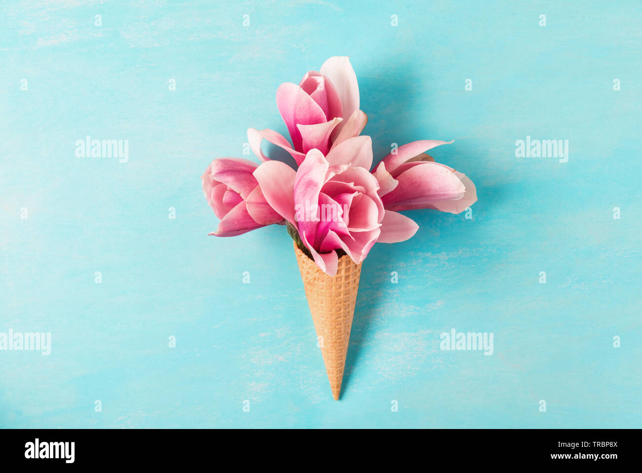 Cornet de crème glacée avec magnolia rose bouquet de fleurs sur fond bleu. Concept de printemps minimes. Télévision lay. vue d'en haut. fond de mariage Banque D'Images