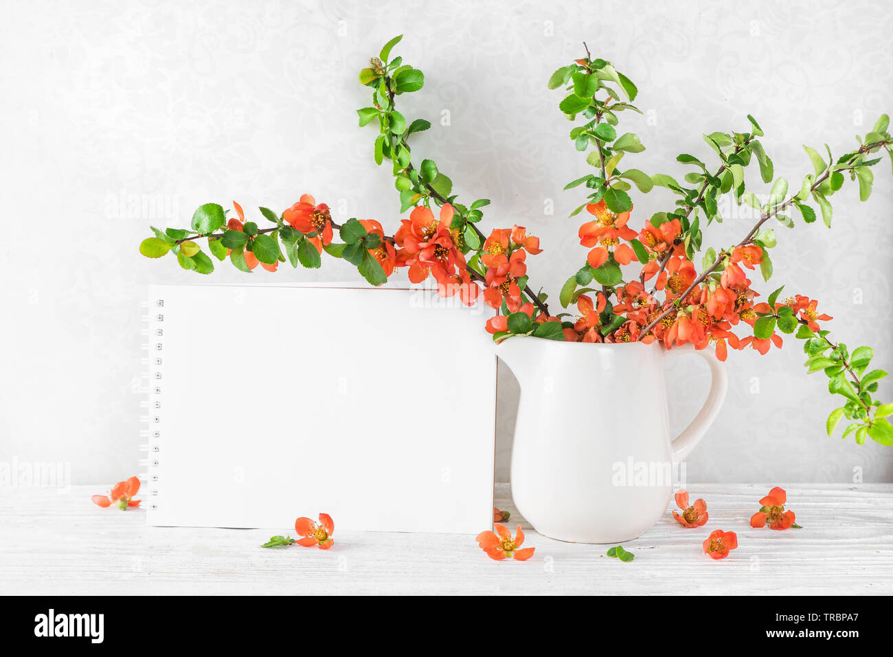 Carte de vœux en blanc avec un beau printemps fleurs de coing japonais orange sur le tableau blanc. maquette. Vacances ou fond de mariage Banque D'Images