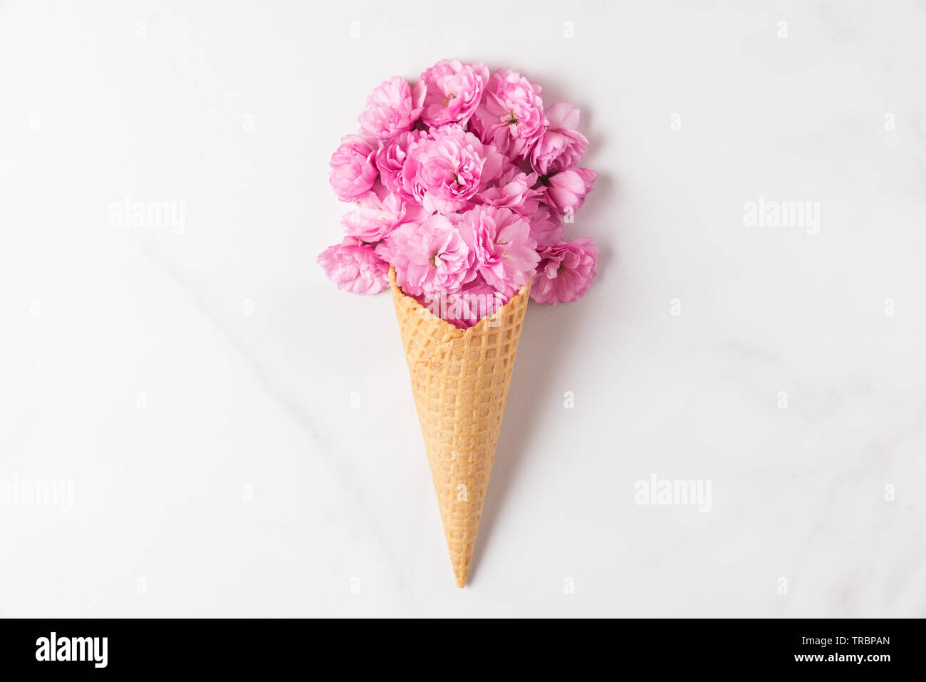 Cornet de crème glacée avec des fleurs de cerisier rose bouquet de fleurs sur fond de marbre blanc. Concept de printemps minimes. Télévision lay. vue d'en haut. fond de mariage Banque D'Images