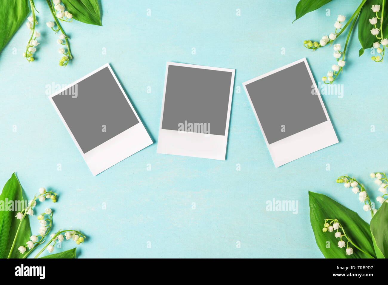 Cartes photo vierge pour instagram dans cadre fait de lis de la vallée des fleurs sur table en bois bleu. Télévision. vue d'en haut. fond de mariage Banque D'Images