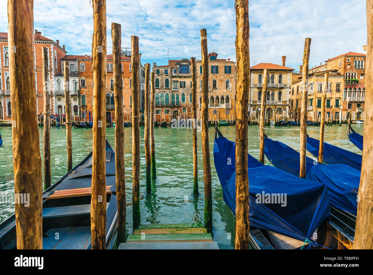 Pier avec gondoles sur le Grand Canal à Venise, Venezia, Italie avec aucun peuple sur le lever du soleil Banque D'Images