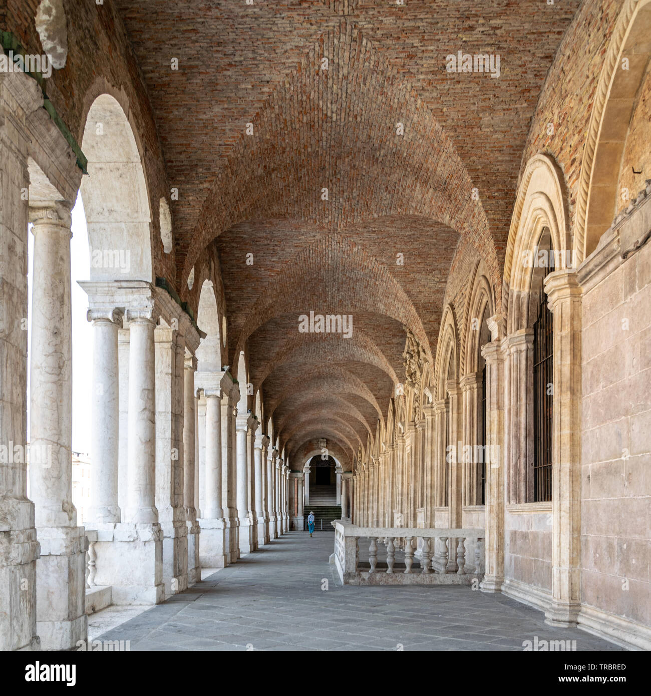 Vue de l'intérieur de la loge supérieure de la Basilique palladienne, Vicenza, Italie Banque D'Images