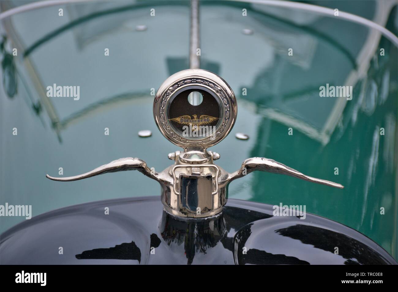 Duesenberg logo sur le capot de voiture de collection défilé à qui est en parfait état des années 1930 Banque D'Images