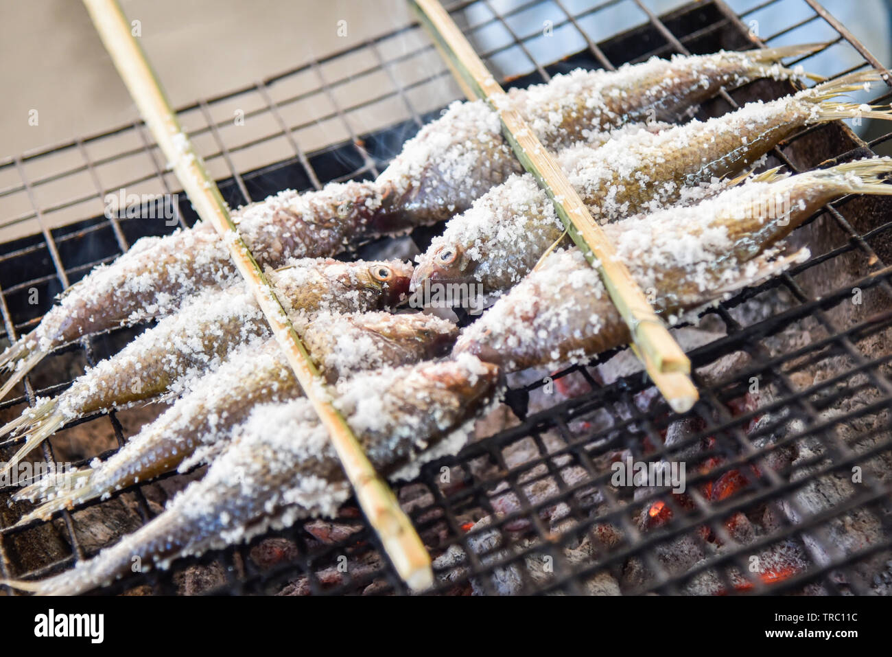 Le poisson grillé avec du sel sur grill asia style alimentaire Banque D'Images