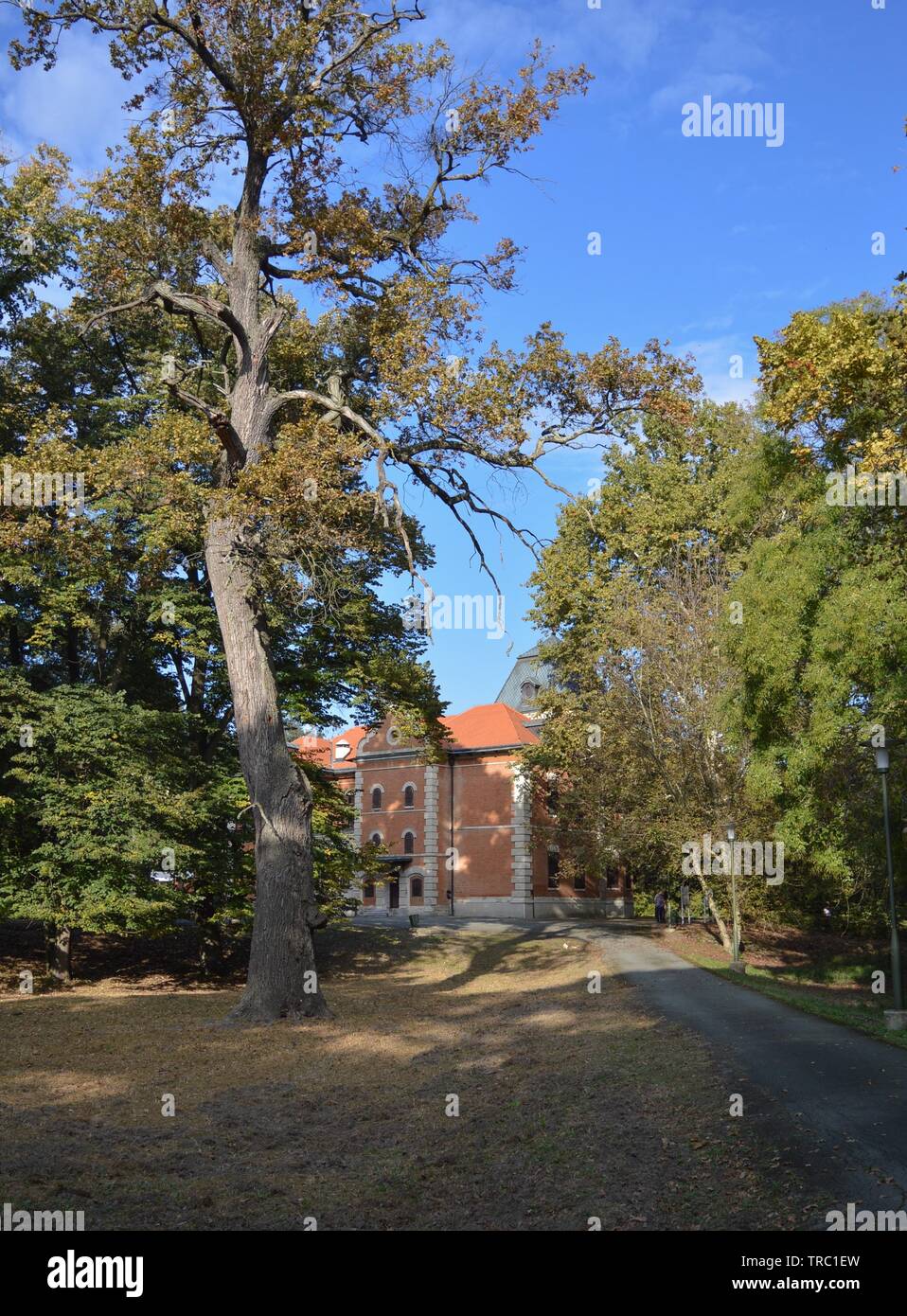 Parc du château Tikveš à Baranja, Croatie Banque D'Images