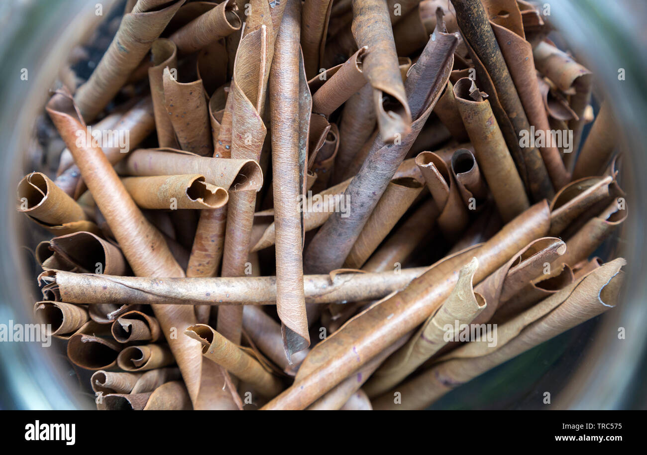 Les feuilles de tabac sec roulé, Close up, macro Banque D'Images