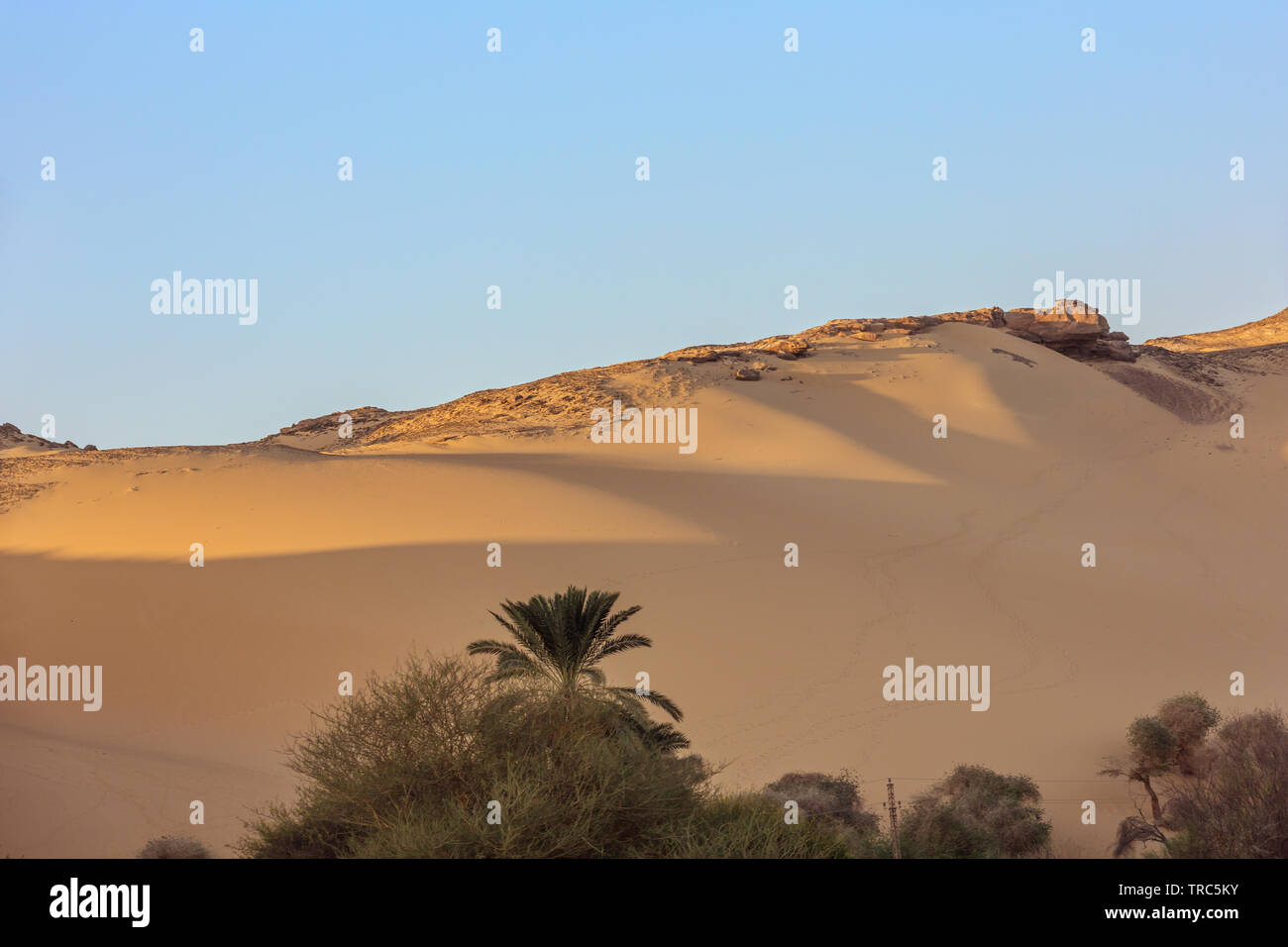 Les dunes de sable du désert dans un faible soleil du soir près de Jazirat Salujah près d'Aswan Banque D'Images
