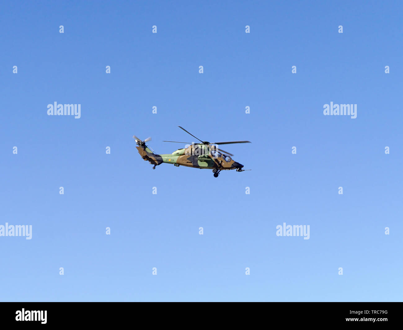 Séville 31 mai 2019 . Eurocopter EC665 tigre de l'armée espagnole dans les expositions à l'occasion de la journée des forces armées sur Banque D'Images