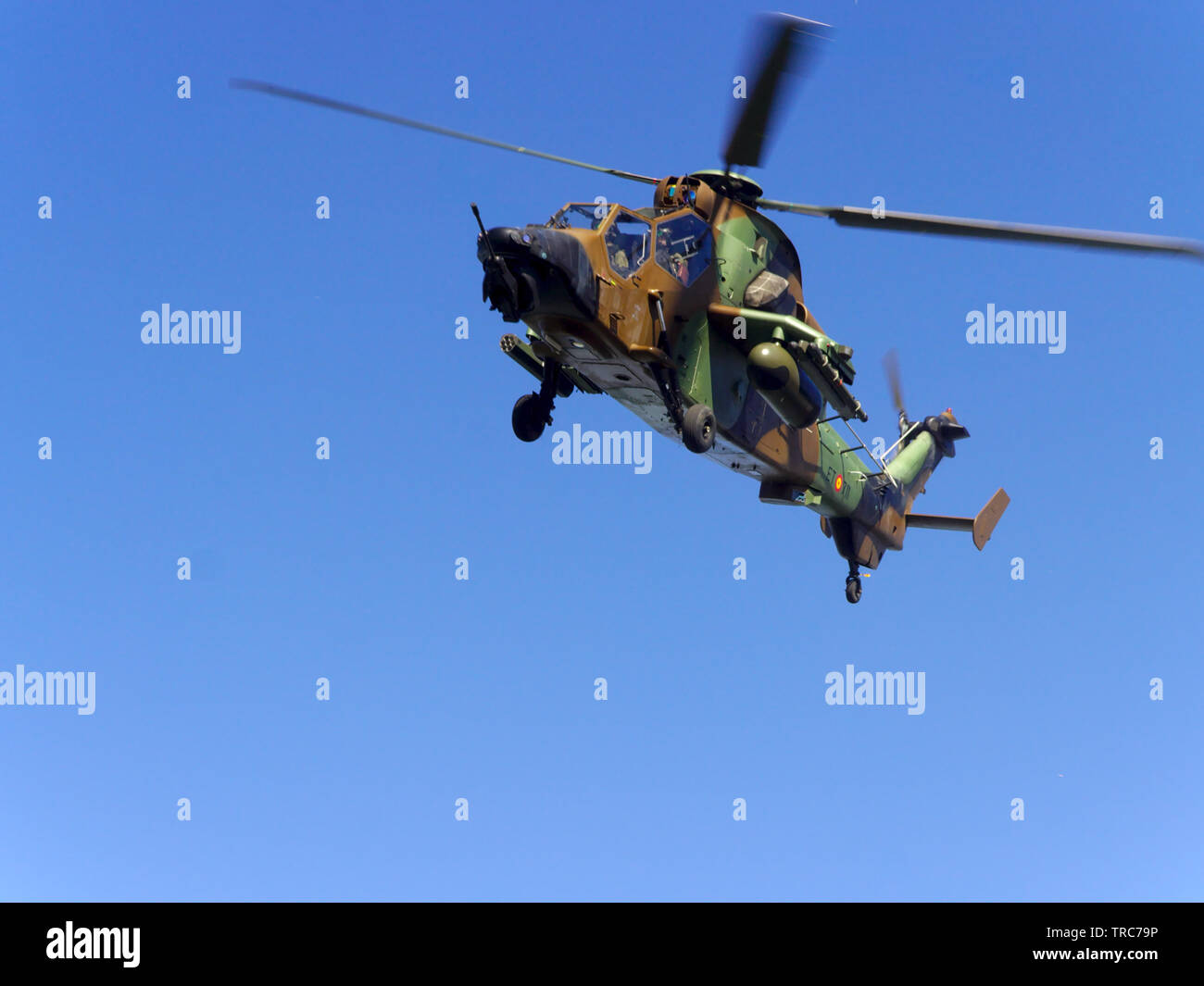Séville 31 mai 2019 . Eurocopter EC665 tigre de l'armée espagnole dans les expositions à l'occasion de la journée des forces armées sur Banque D'Images