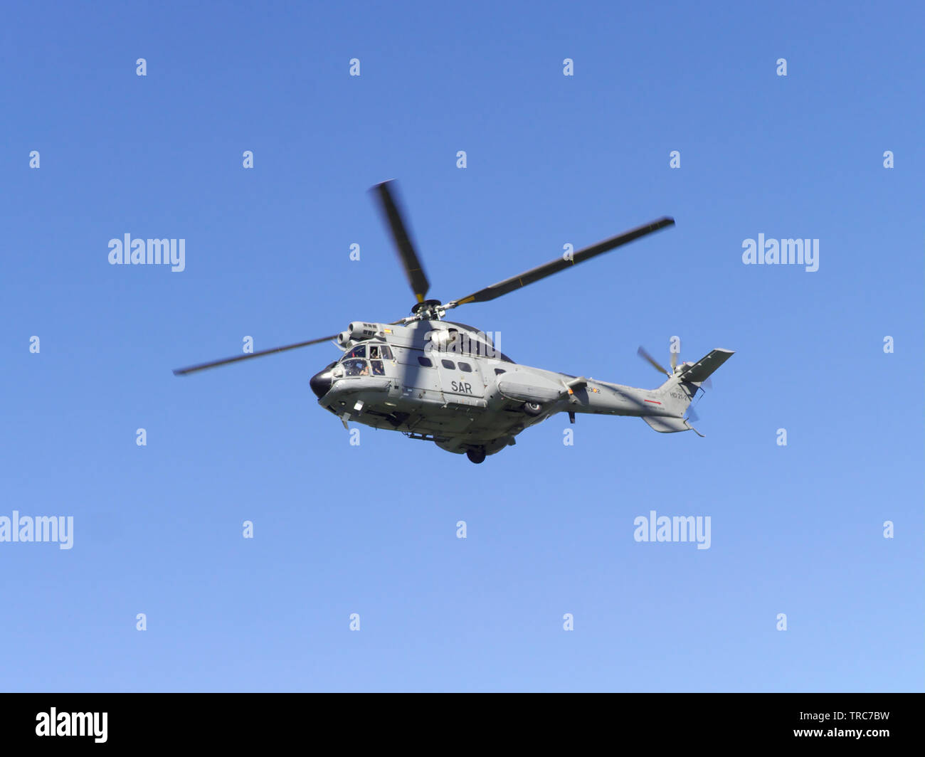 Séville, Espagne, 31 mai 2019 : AS332 hélicoptère Super Puma à partir de la 48 e escadre de l'armée de l'air espagnole dans les expositions à l'occasion de la journée de la Banque D'Images