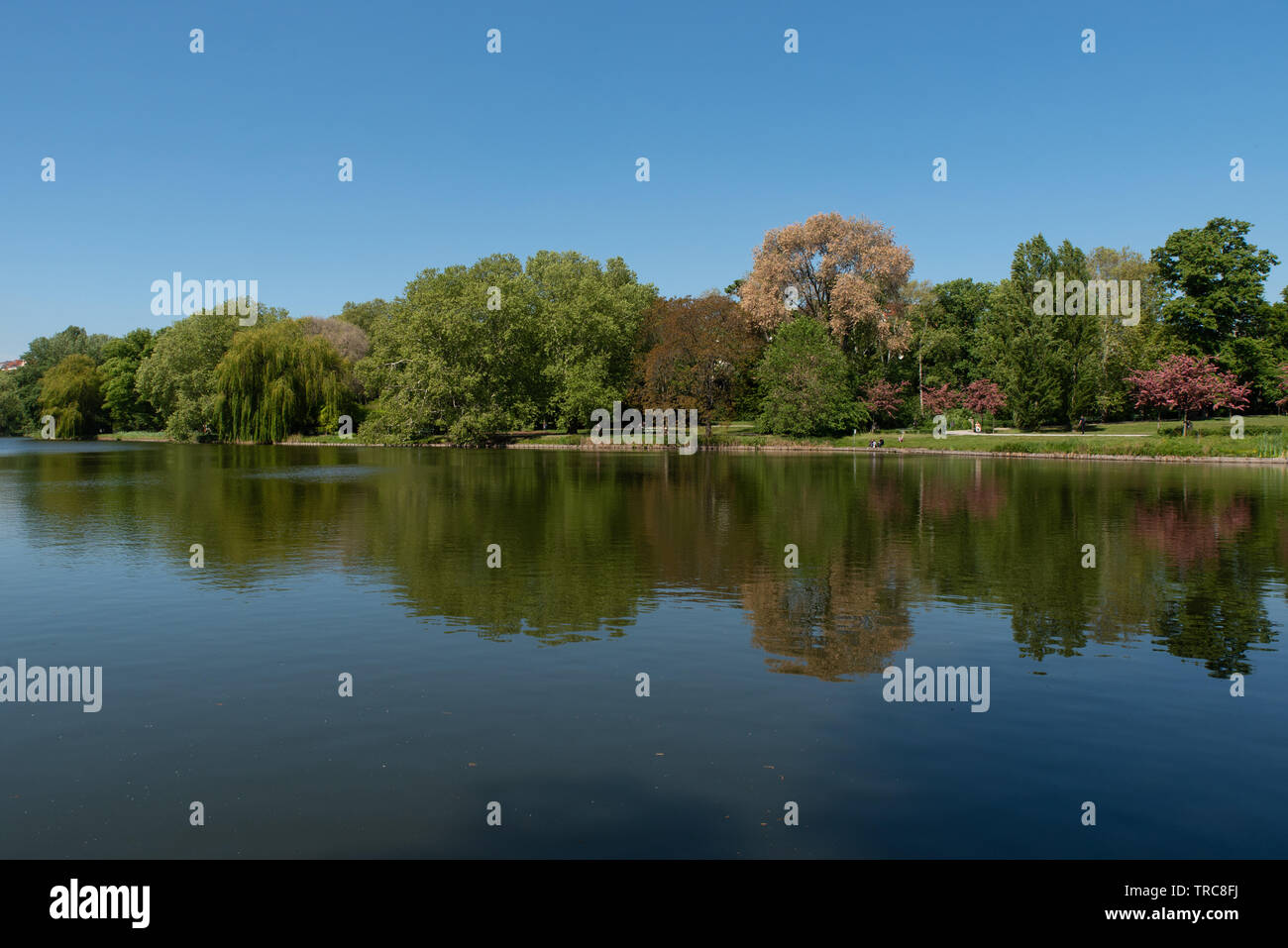 Die im Bezirk Lietzensee Charlottenburg, Berlin, Deutschland. // Les lacs Lietzensee dans le quartier de Charlottenburg, Berlin, Allemagne. // Banque D'Images