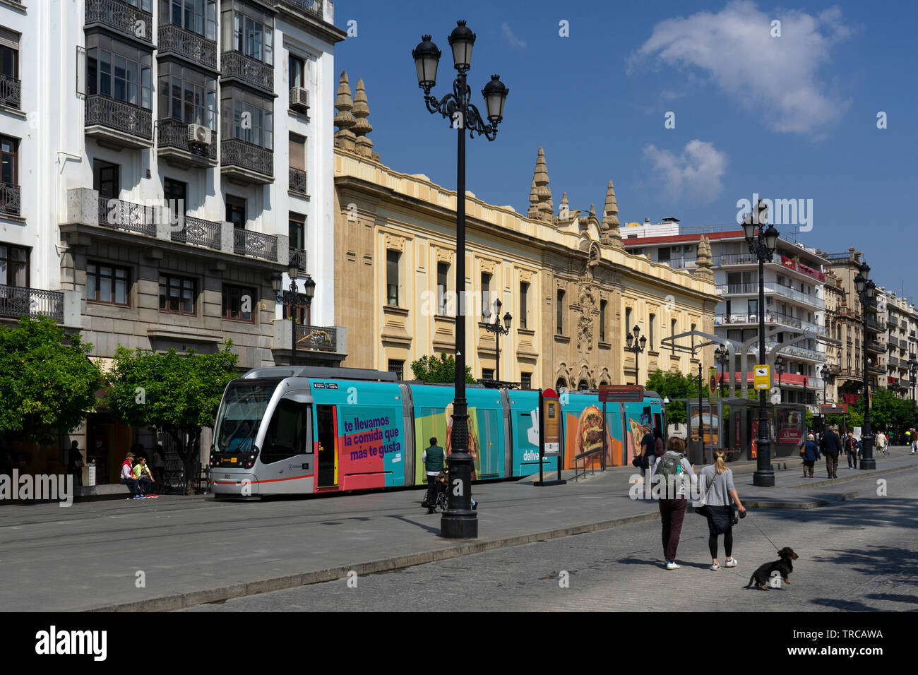 Tramway sur constitution avenue à Séville , Andalousie, Espagne, Europe Banque D'Images