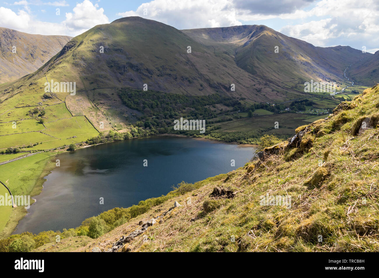 Frères de l'eau avec Hartsop Dodd et caudale au-delà Tête, Lake District, Cumbria, Royaume-Uni Banque D'Images