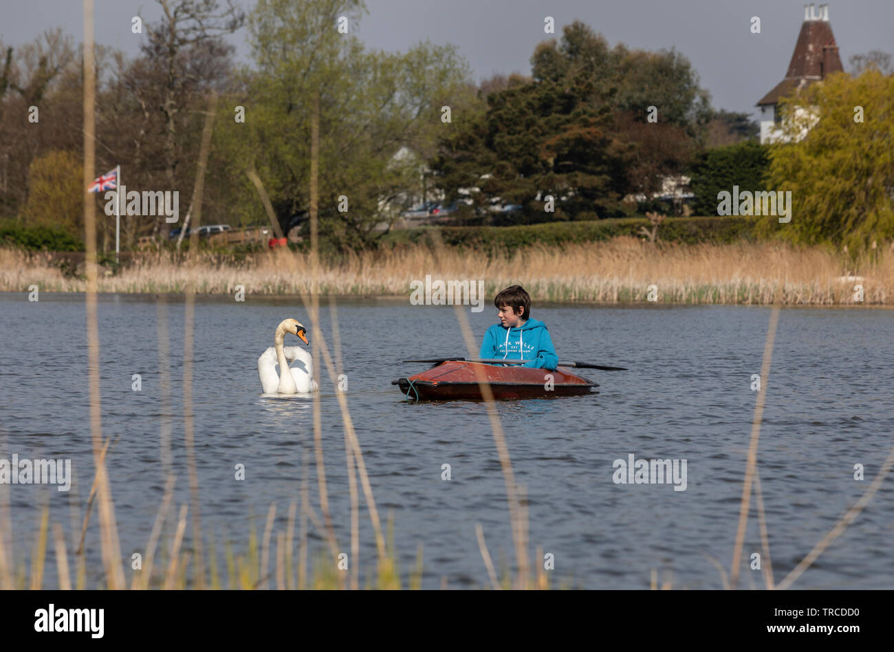 Teenage boy en kayak sur l'alimentation des cygnes Meare à Aldeburgh, dans le Suffolk. Banque D'Images