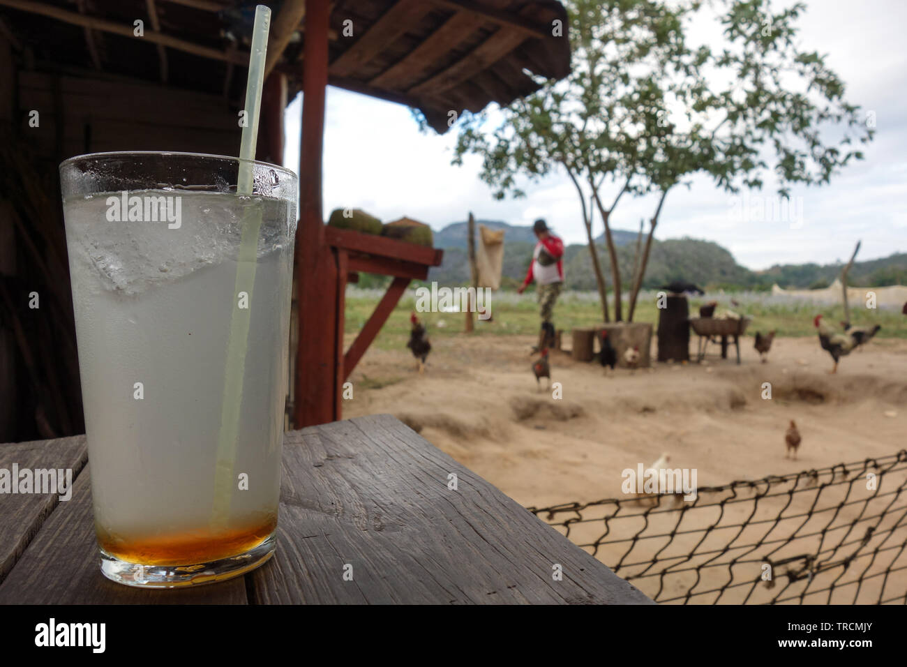 Une froide Canchanchara, boisson traditionnelle cubaine y compris le rhum, miel et citron, servi sur un peu ferme dans la vallée de Vinales, Cuba Banque D'Images