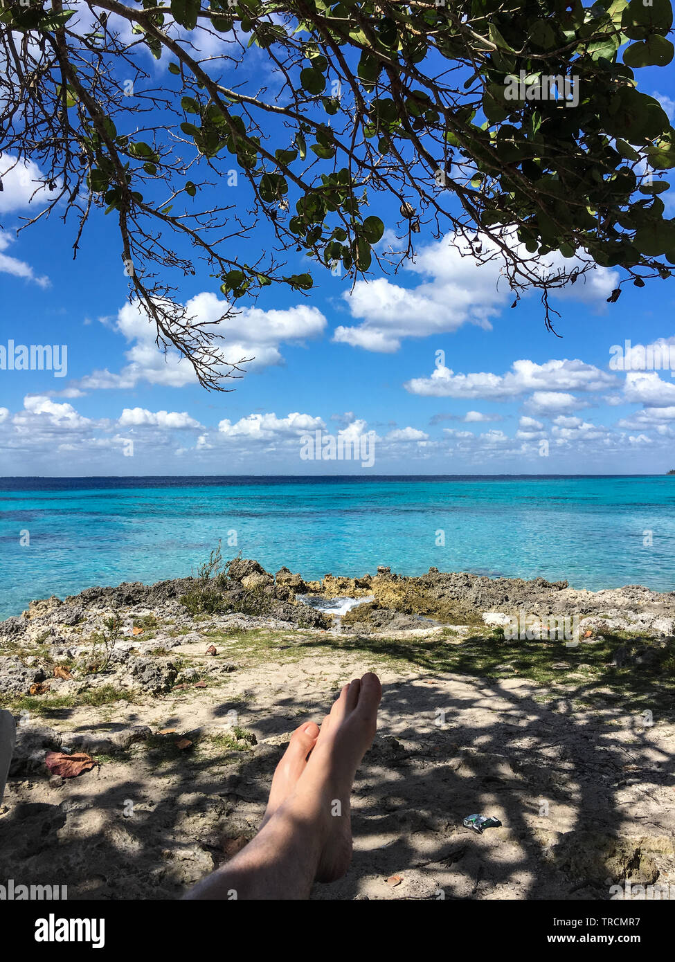Détente Tourisme blanc sous un arbre sur la côte de la Baie des Cochons avec c'est clair, bleu de l'eau près de Playa Giron, Cuba Banque D'Images