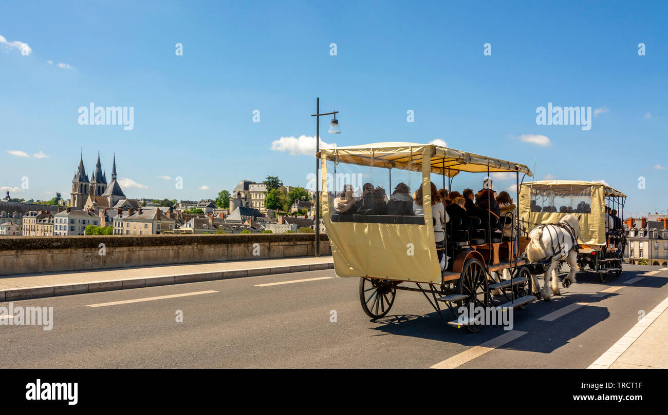 Vue sur le pont Jacques Gabriel et la ville de Blois au coucher du soleil , Loire-et-Cher, Center-Val de Loire, France, Europe Banque D'Images